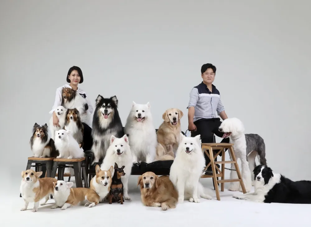 애견카페히릿 건대점 대표 이미지