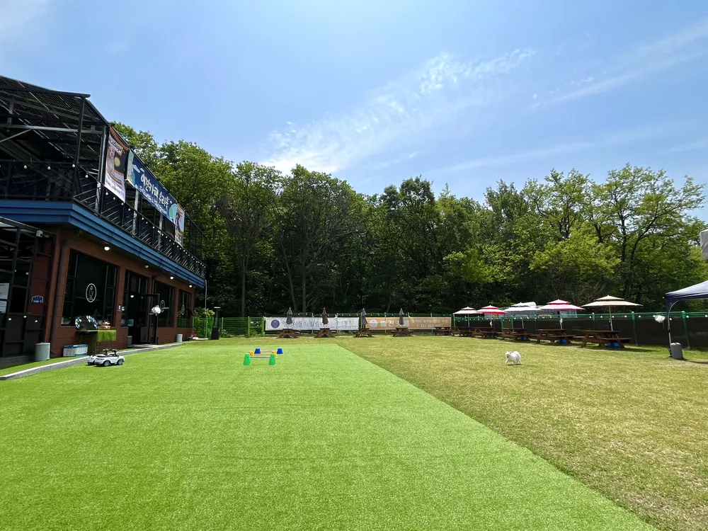 우리늘 대표 이미지