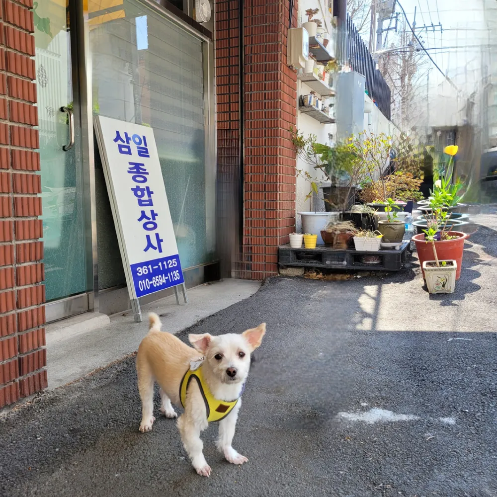 삼일종합상사 대표 이미지