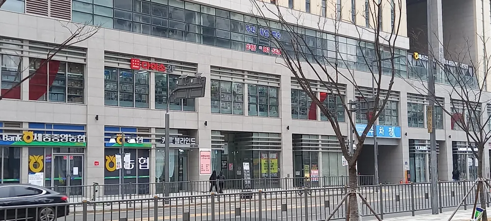 다이소 세종나성점 대표 이미지