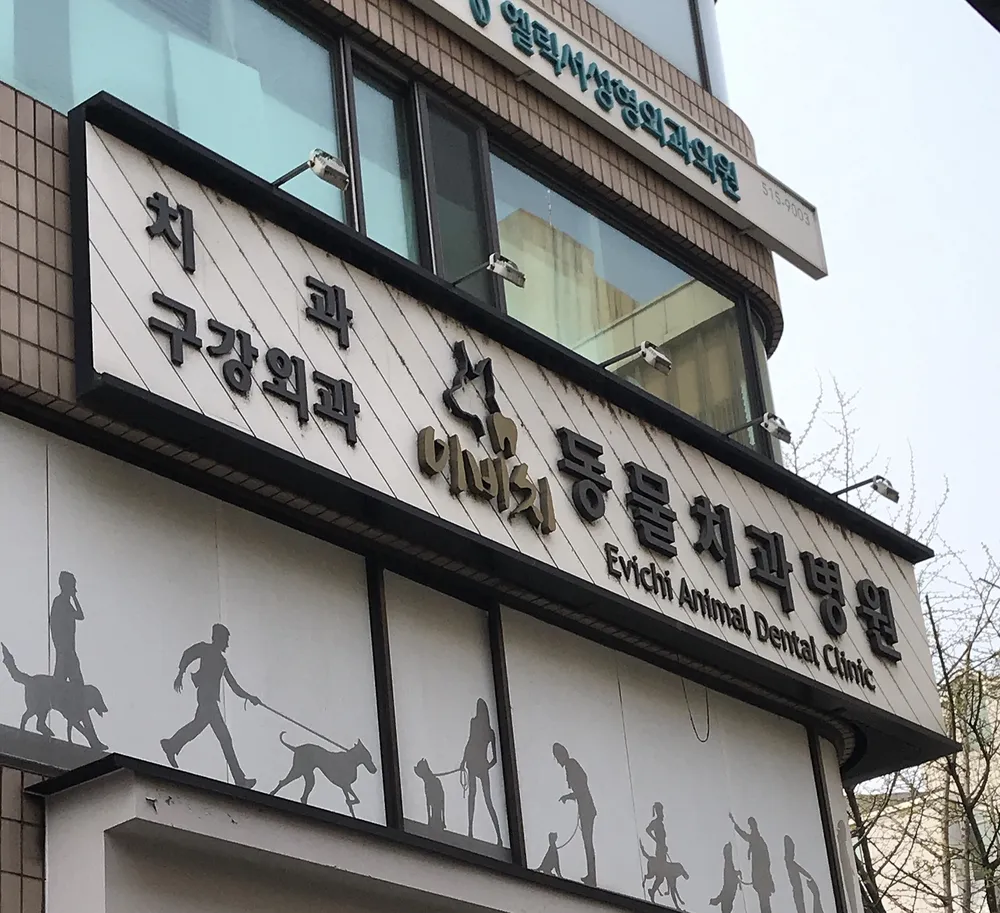이비치동물치과병원