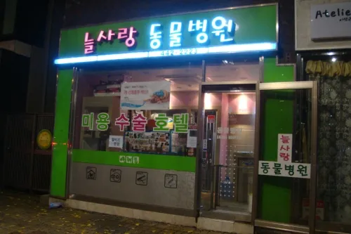 늘사랑동물병원 대표 이미지
