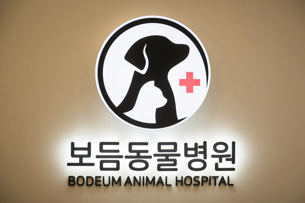 보듬동물병원 대표 이미지