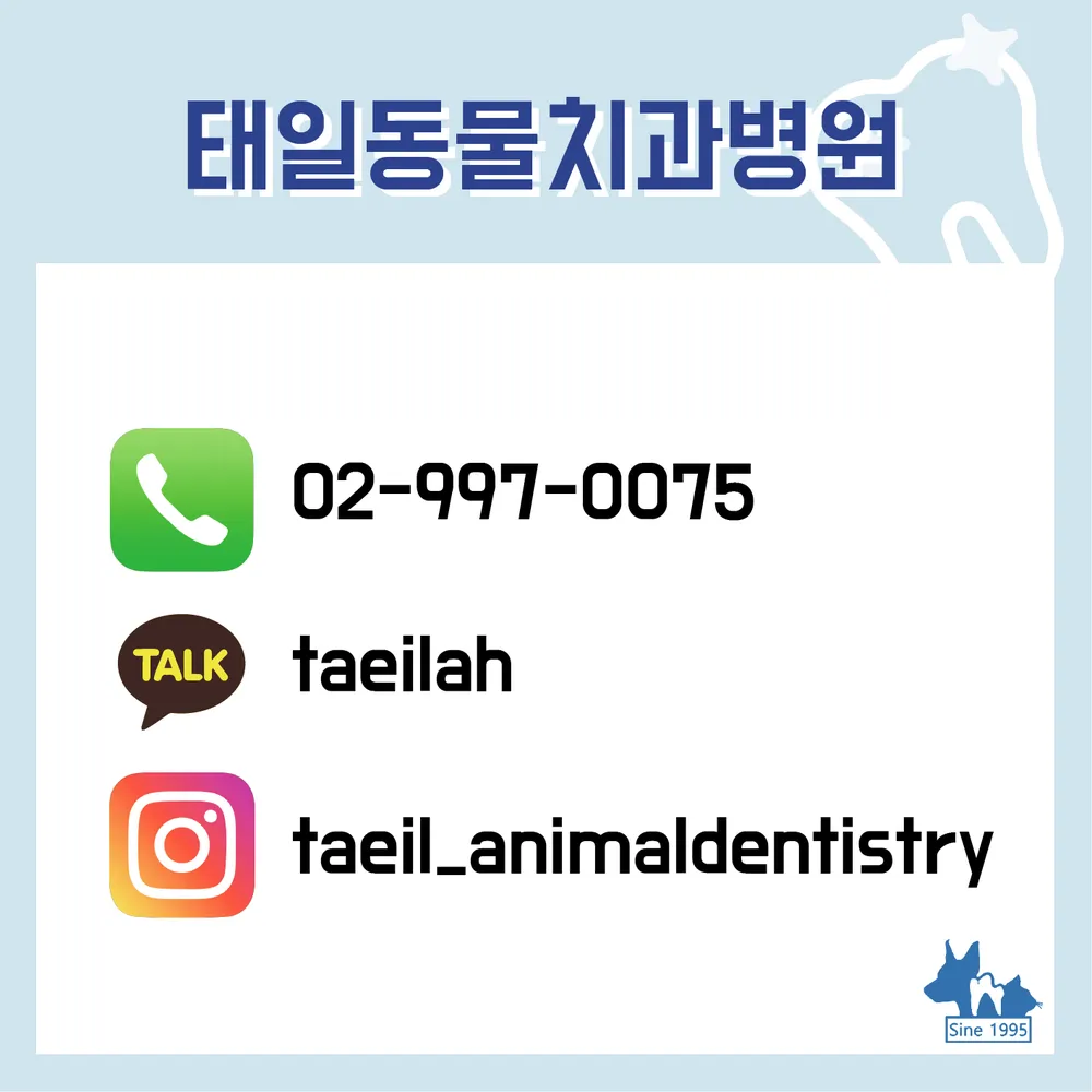 태일동물치과병원 대표 이미지