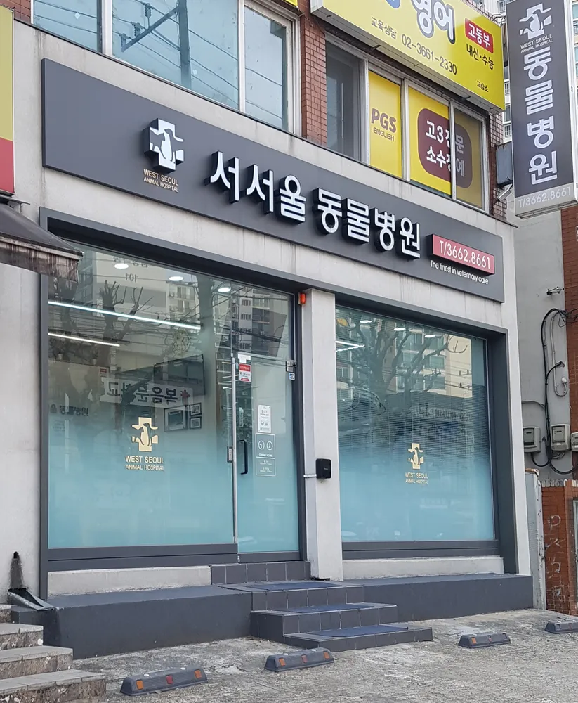 서서울동물병원 대표 이미지