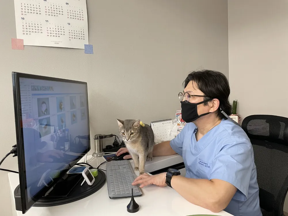 파랑새동물병원 대표 이미지