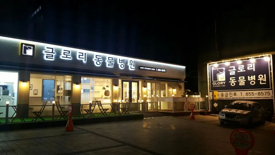 24시글로리동물병원 대표 이미지