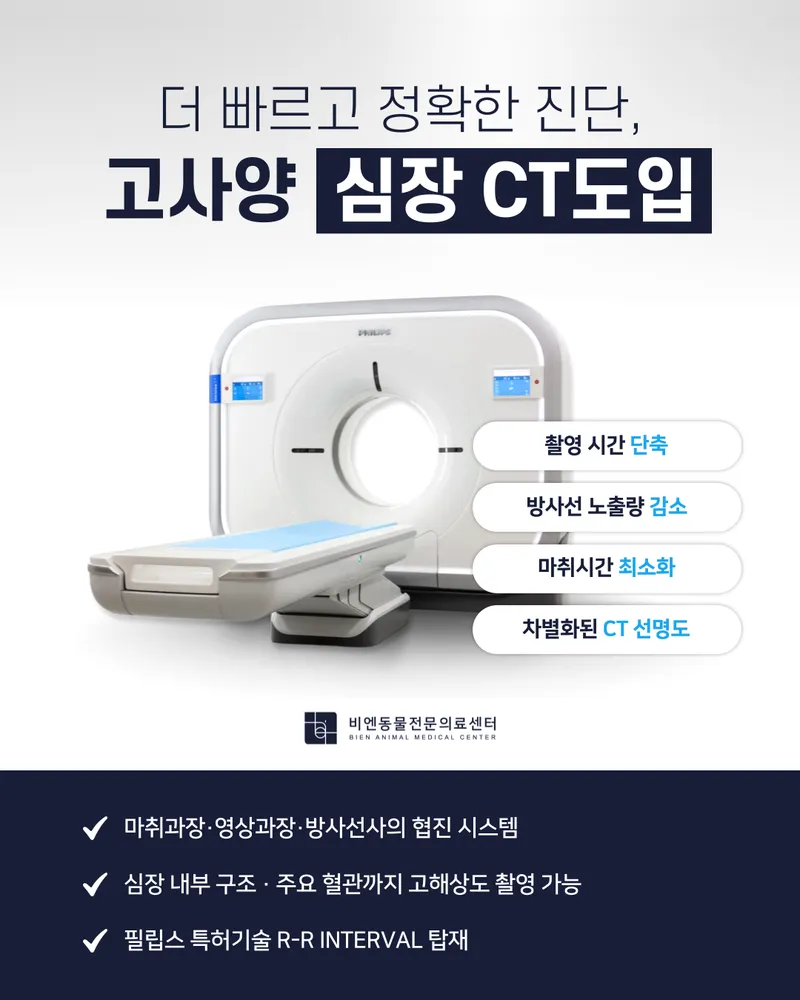 비엔동물전문의료센터 대표 이미지