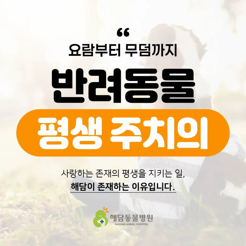 해담동물병원 대표 이미지