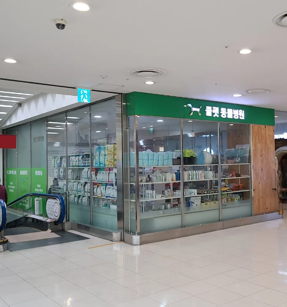 쿨펫동물병원 대표 이미지