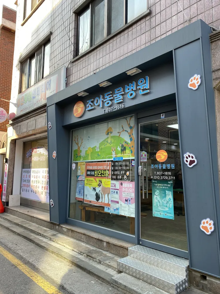 조아동물병원 대표 이미지