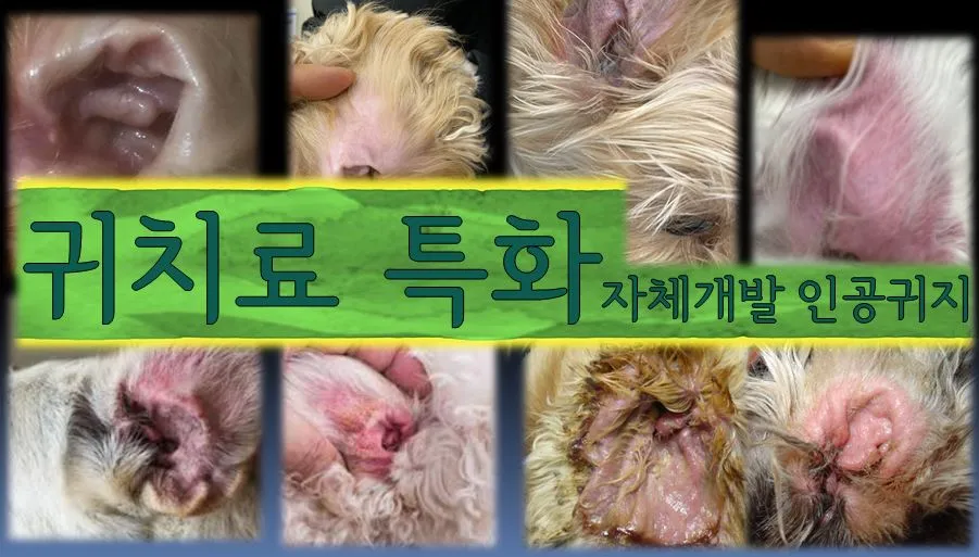 금나래동물병원 대표 이미지