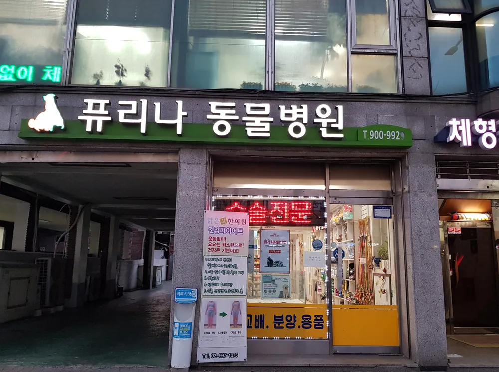 퓨리나 동물병원 대표 이미지