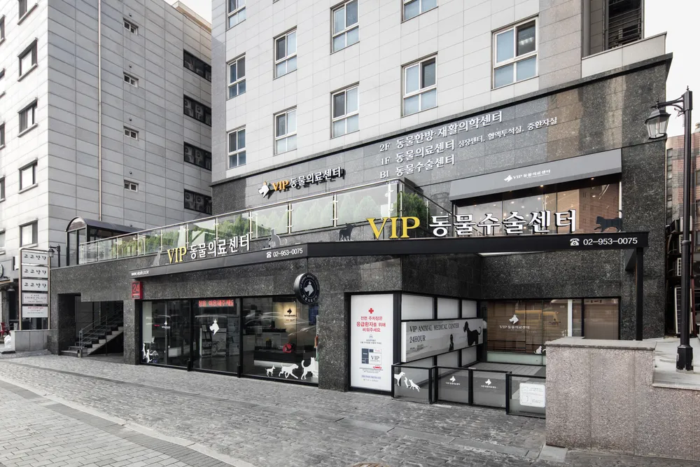 VIP동물의료센터 성북점 대표 이미지