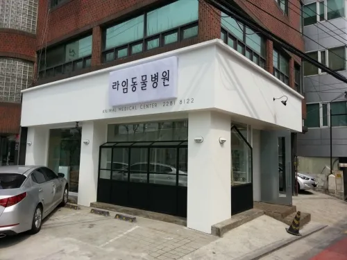 라임동물병원 대표 이미지