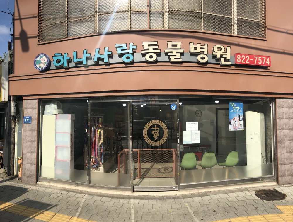 하나사랑동물병원 대표 이미지