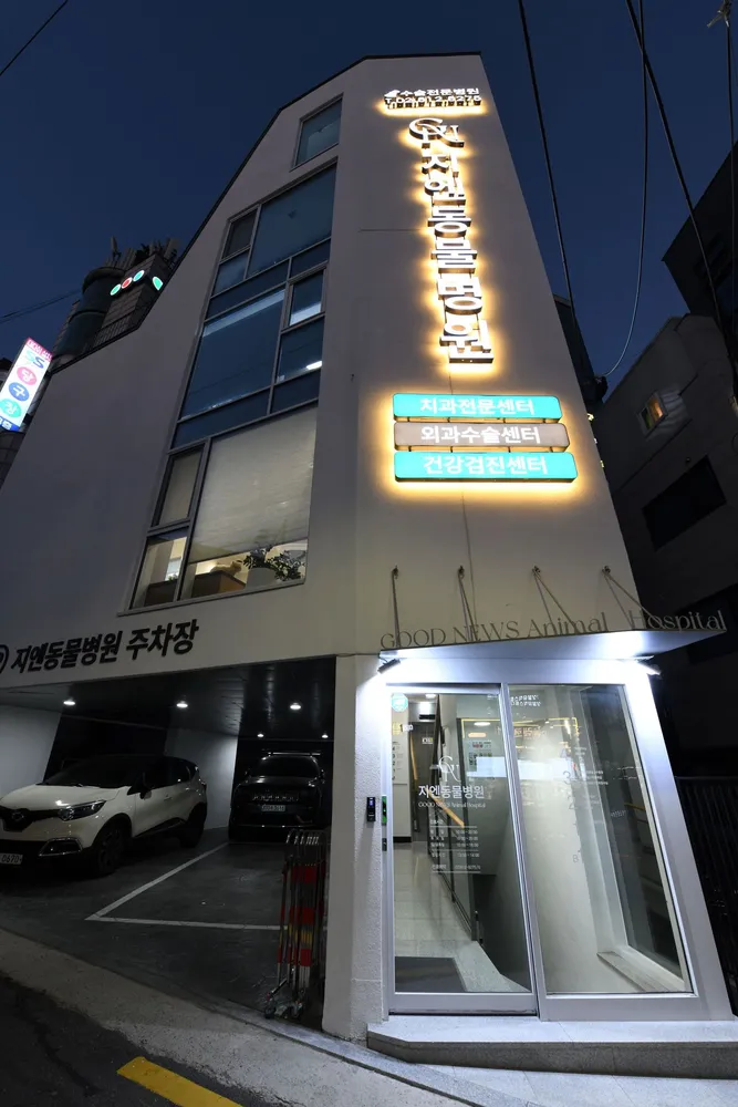 지엔동물병원 대표 이미지