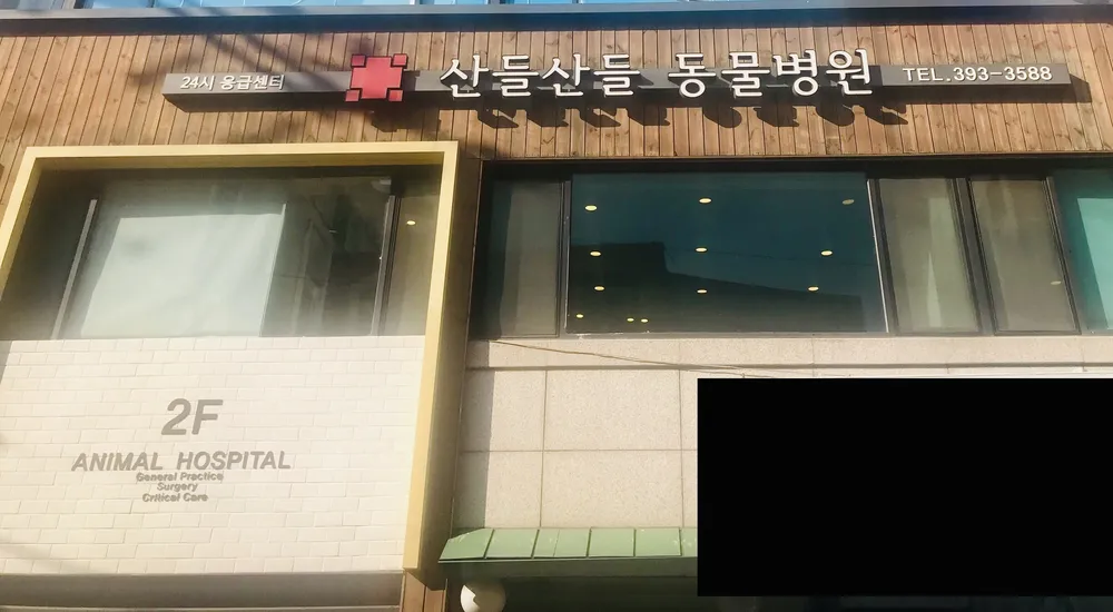 산들산들 동물병원 대표 이미지