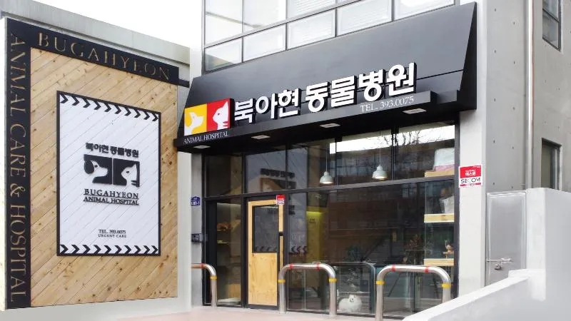 북아현동물병원 대표 이미지