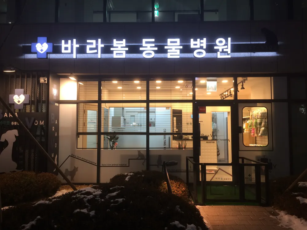 바라봄동물병원 대표 이미지