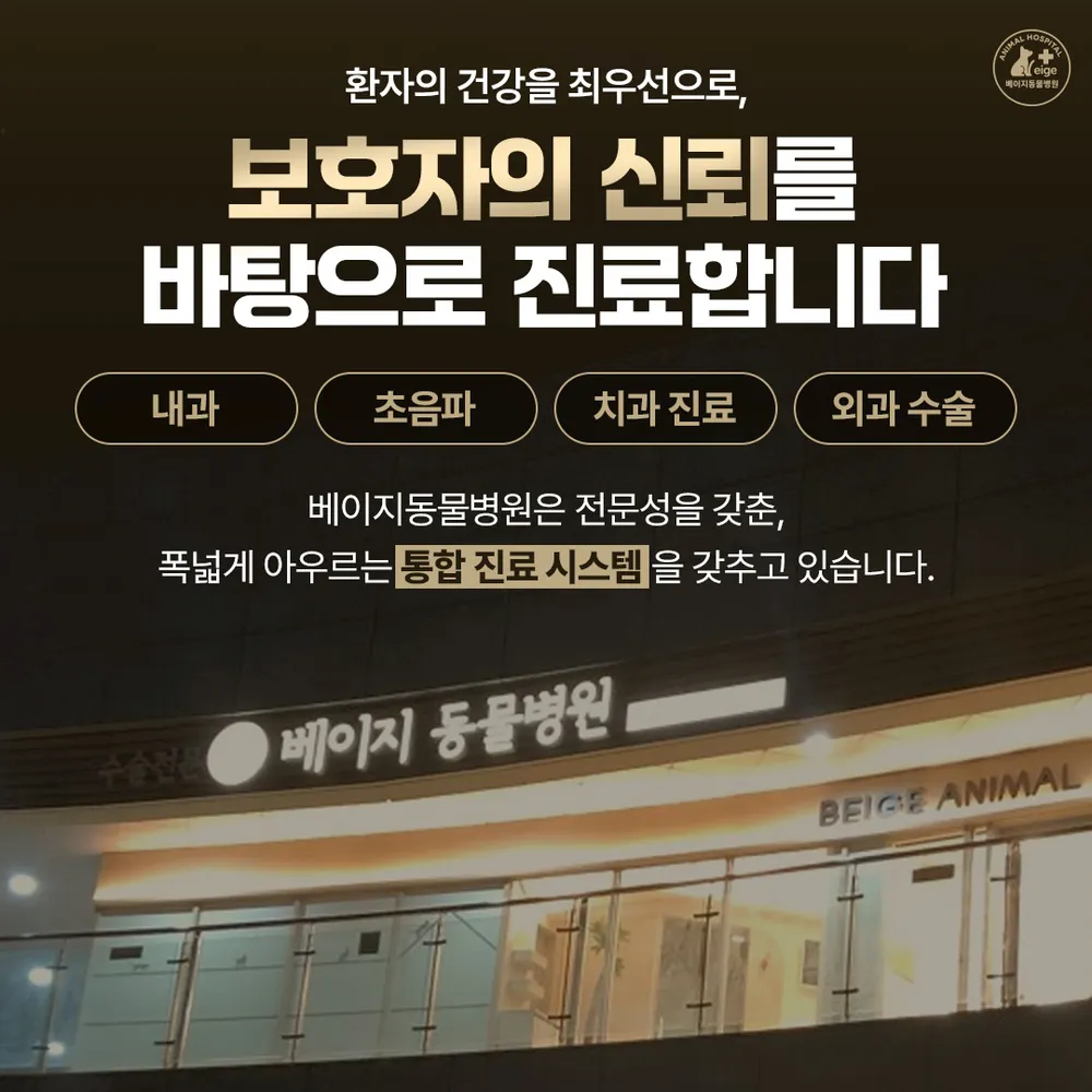 베이지동물병원 대표 이미지