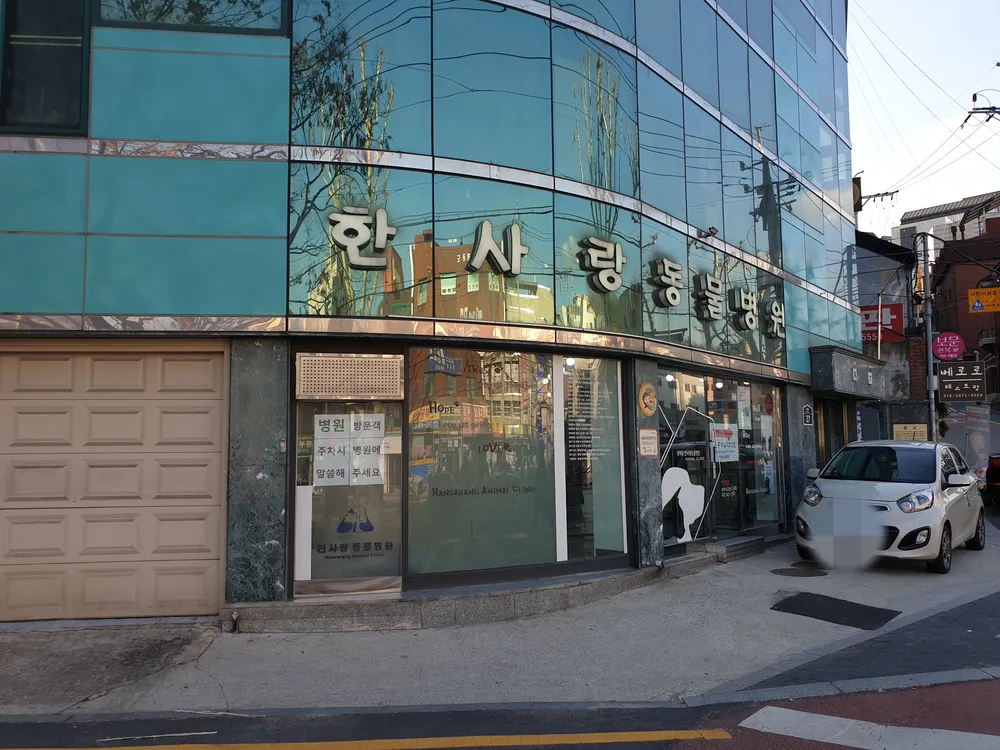 한사랑동물병원 대표 이미지