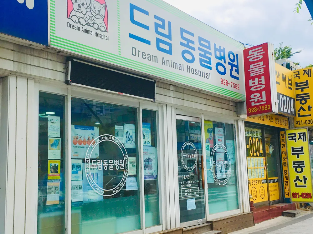 드림동물병원 대표 이미지
