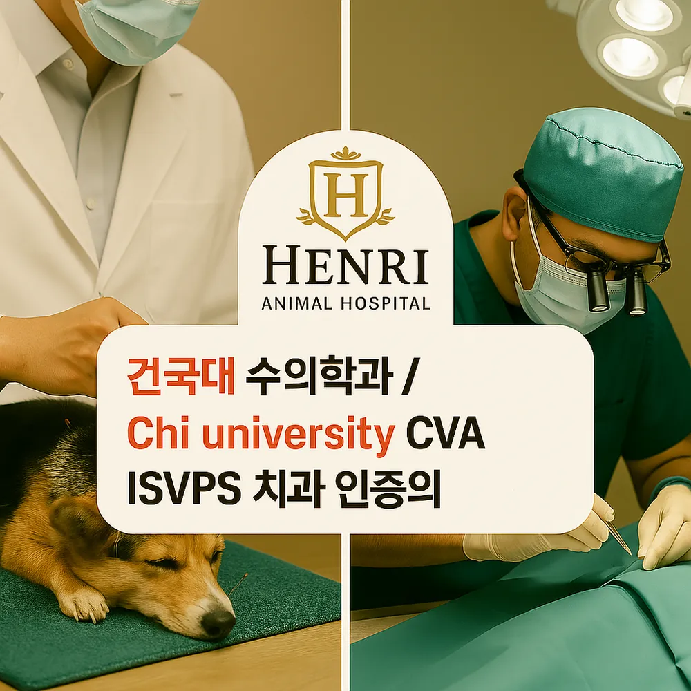 앙리동물병원 대표 이미지