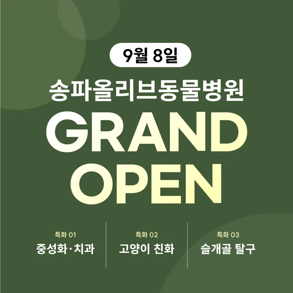 송파올리브동물병원 대표 이미지