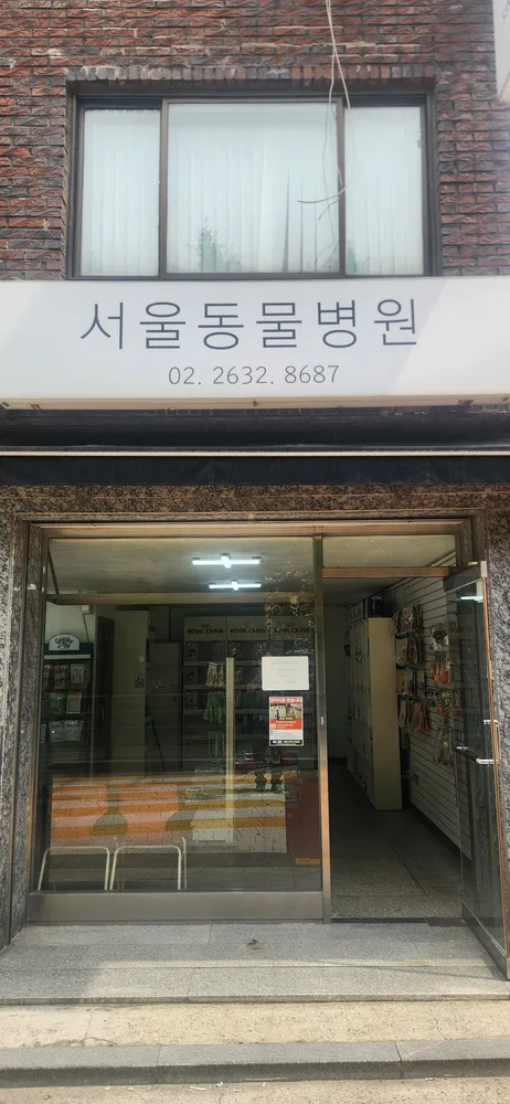 서울동물병원 대표 이미지