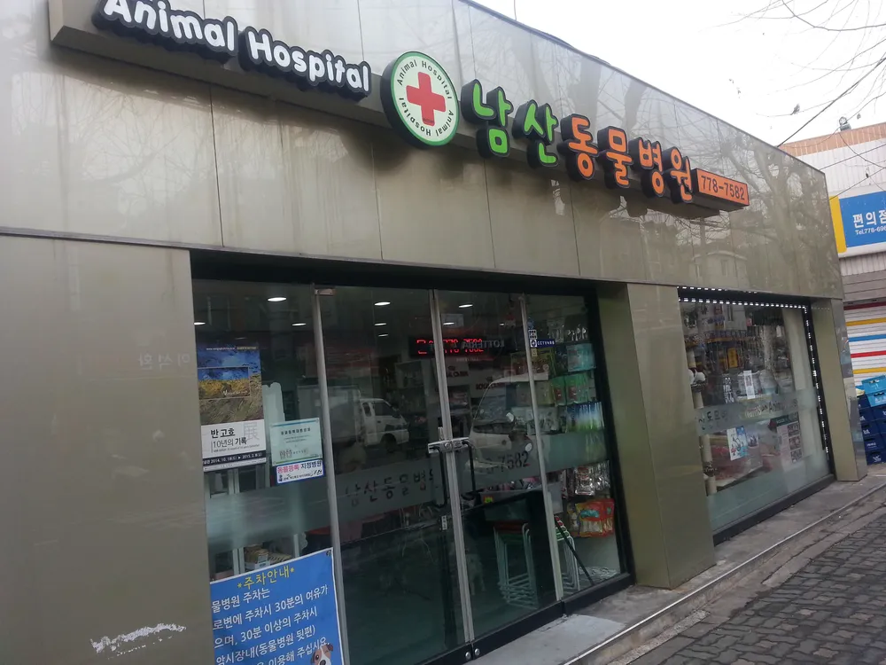 남산동물병원 대표 이미지
