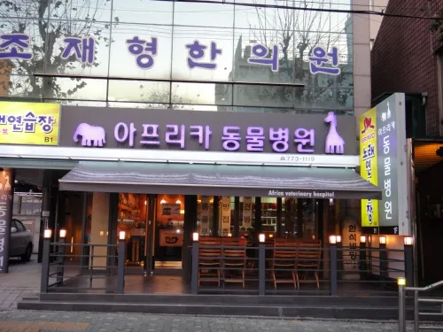 아프리카동물병원 대표 이미지