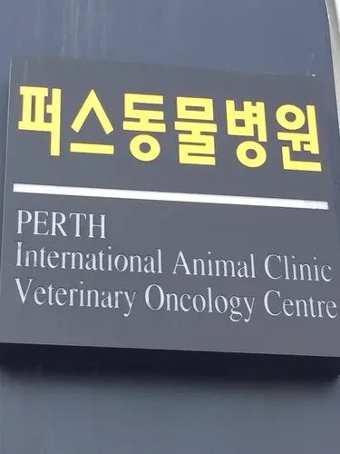 퍼스동물병원 대표 이미지