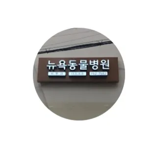 뉴욕동물병원 대표 이미지