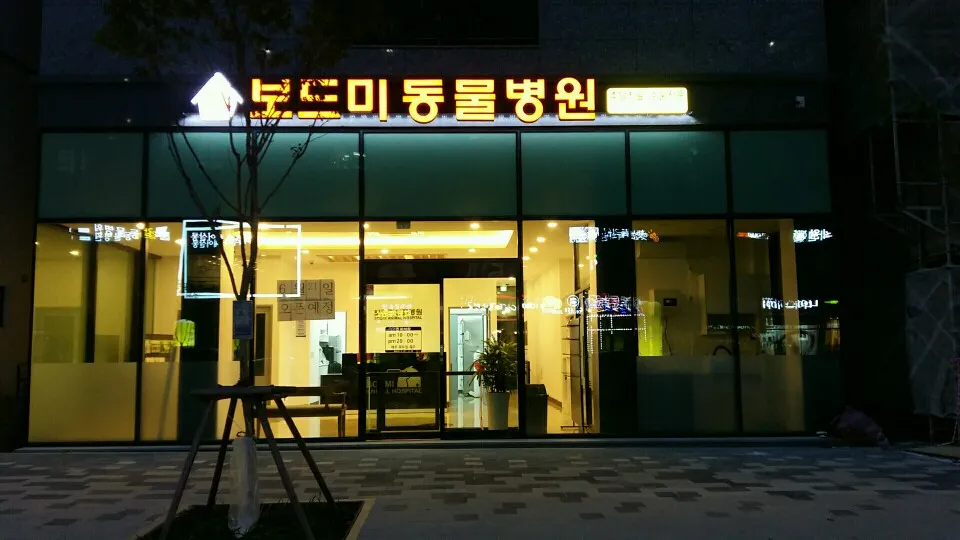 보드미동물병원 대표 이미지
