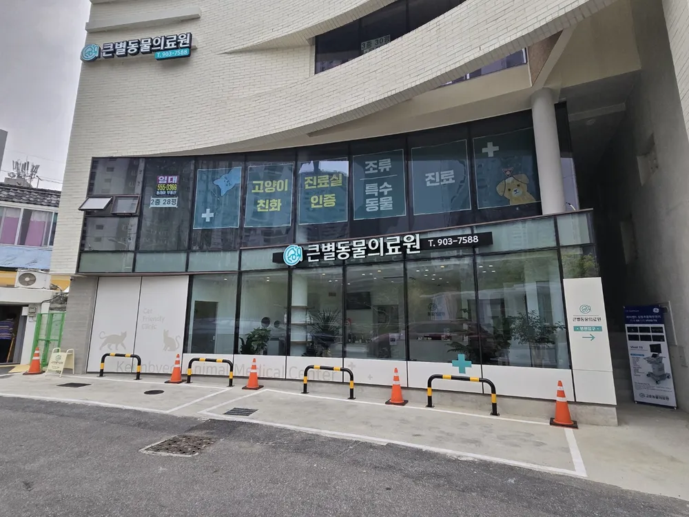 큰별동물의료원 대표 이미지