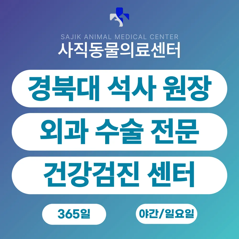 사직동물의료센터 대표 이미지