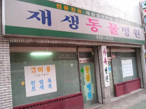재생동물병원 대표 이미지