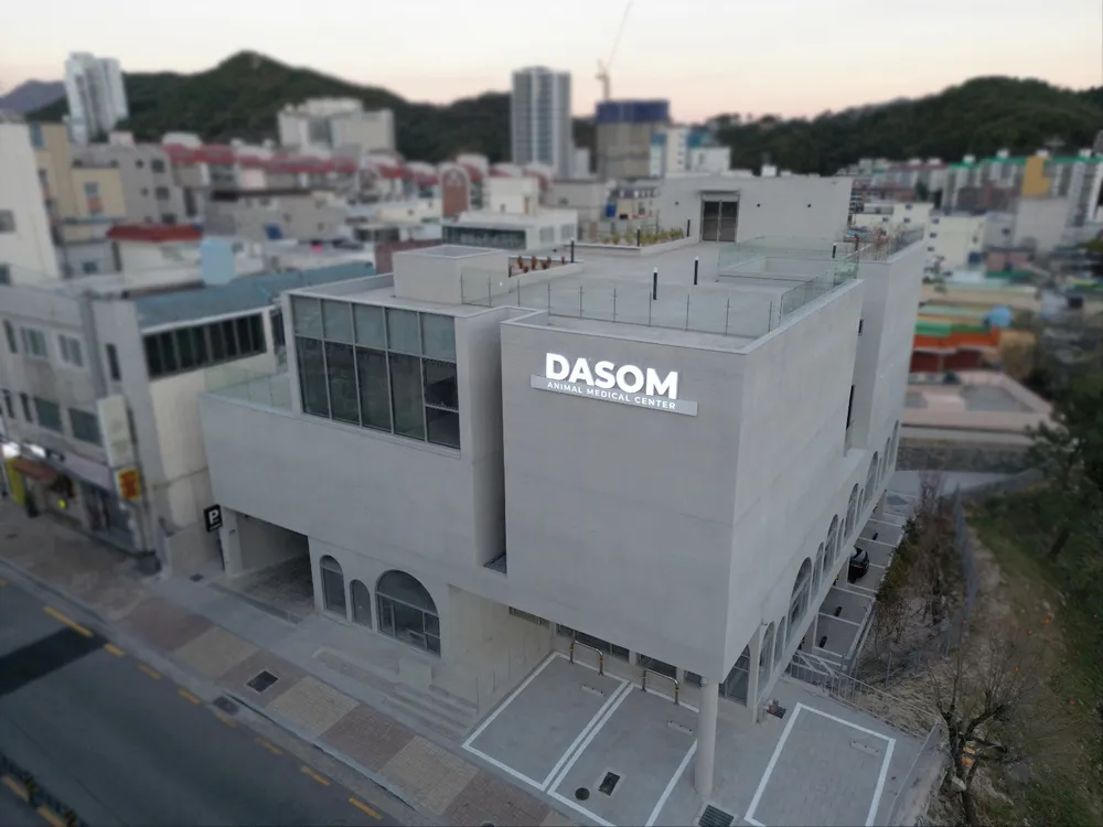 다솜고양이메디컬센터 대표 이미지