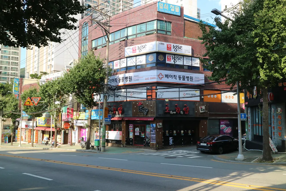 베이직동물병원 대표 이미지