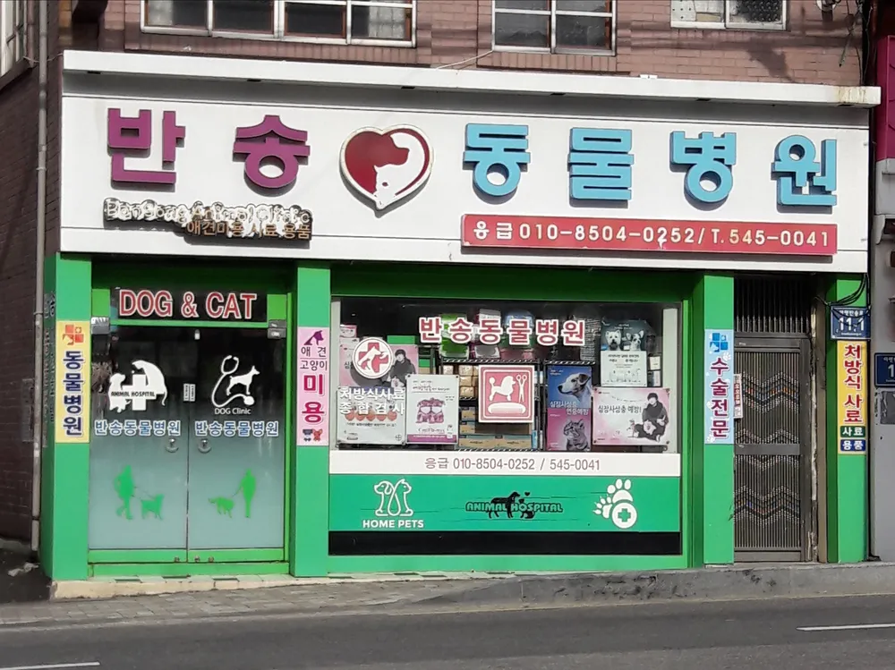 반송동물병원 대표 이미지