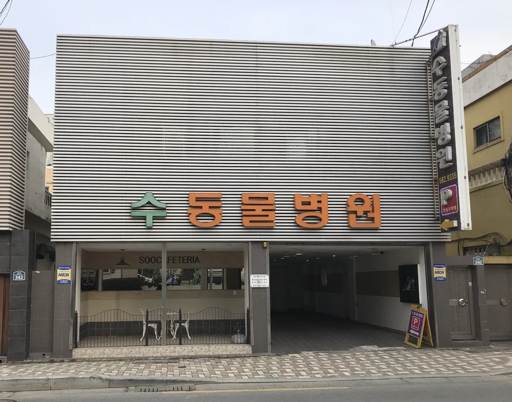 수동물병원 대표 이미지