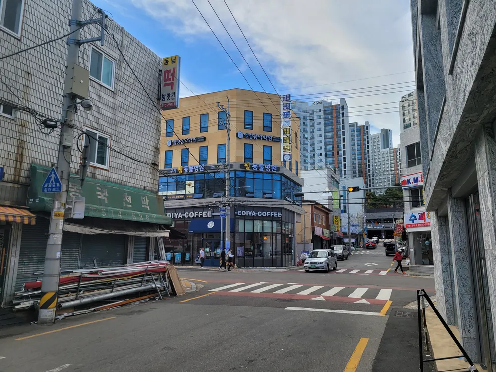 웰동물병원 대표 이미지
