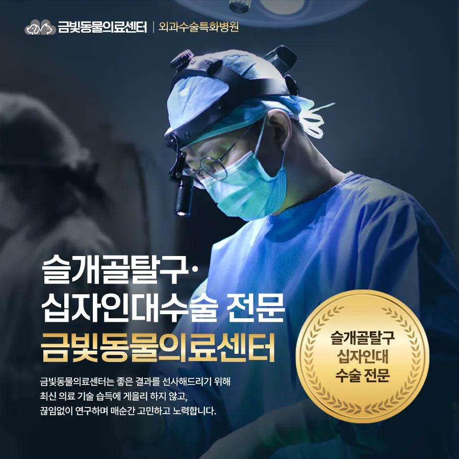 금빛동물의료센터 대표 이미지