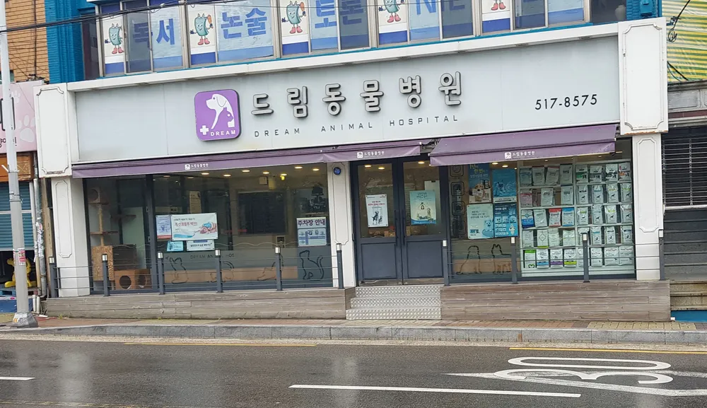 드림동물병원 대표 이미지
