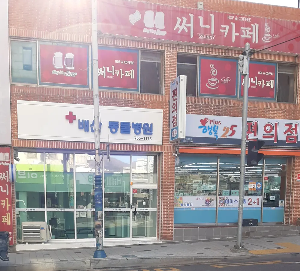 배산동물병원 대표 이미지
