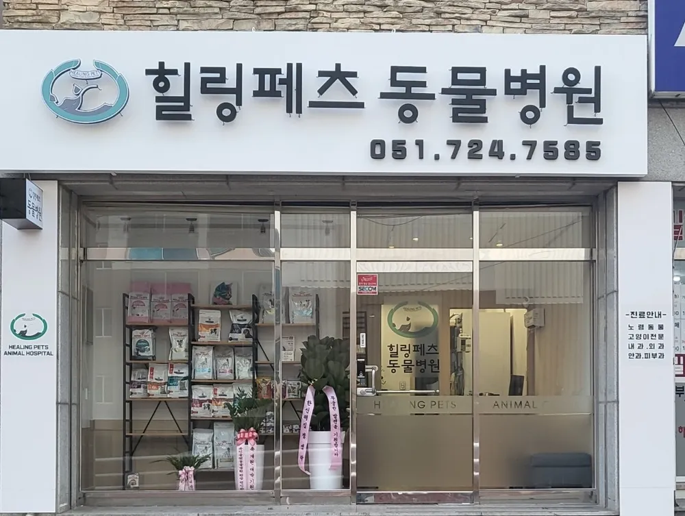 힐링페츠 동물병원 대표 이미지