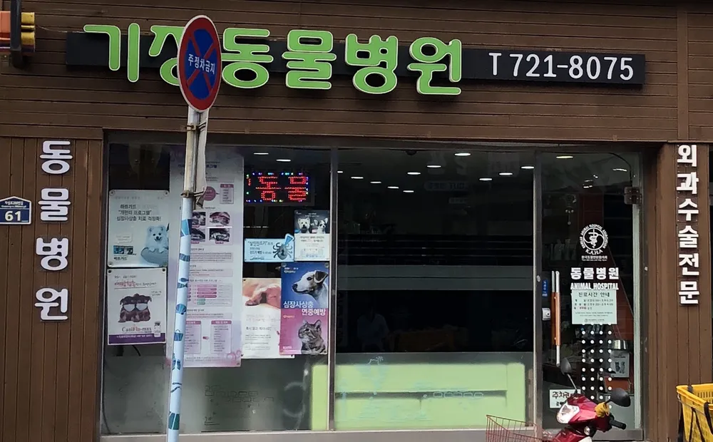기장동물병원 대표 이미지