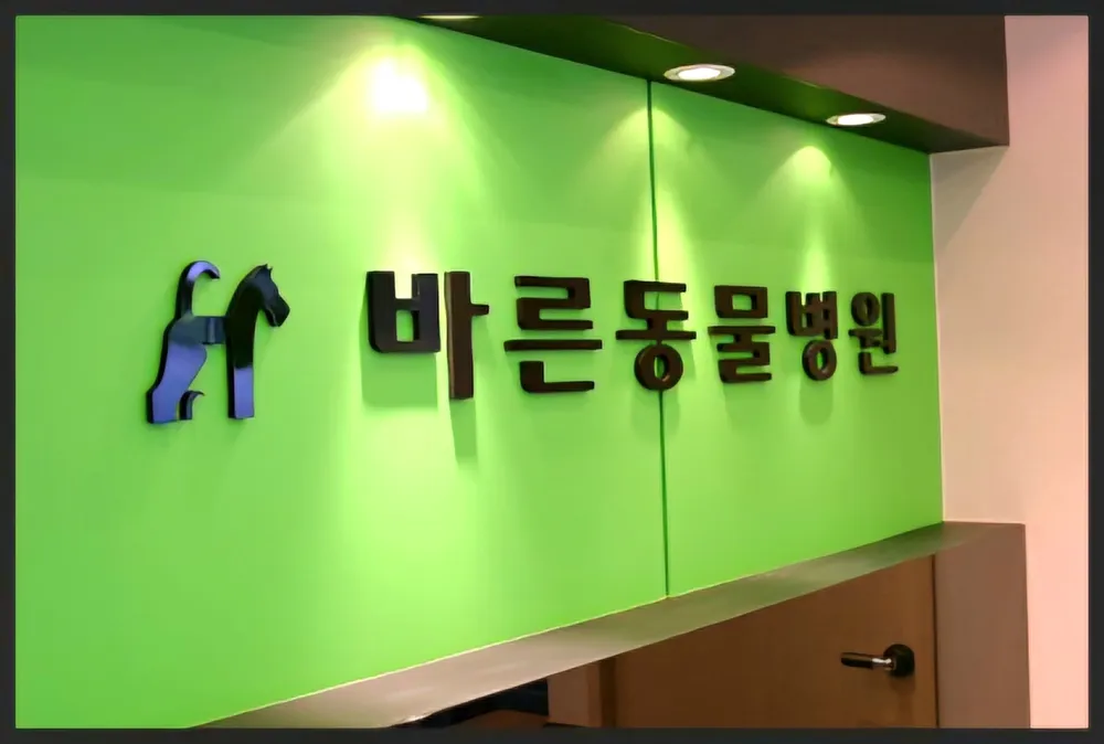 바른동물병원 대표 이미지
