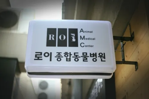 로이 종합동물병원 대표 이미지